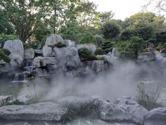 -东莞植物园