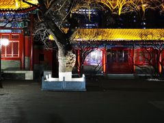 -中央音乐学院歌剧音乐厅