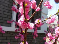 -大连步云山老汤度假山庄