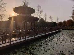 -五缘湾湿地公园
