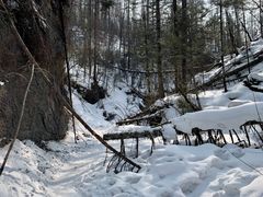 -峡谷浮石林景区