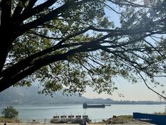 -羚羊峡古栈道森林公园