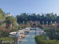 -百万葵园