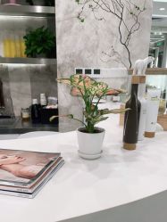 -MMby HairCode 芭曲发型概念店