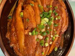 -食家鸽园