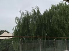 -帐篷客·溪龙茶谷度假酒店