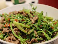 -壹盏灯(惠农店)