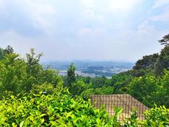 -火炉山森林公园