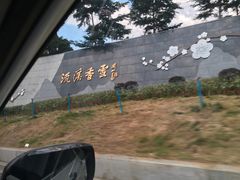 -广州市流溪河国家森林公园