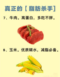 -Fundi张玉珊修身堂·indiba·BTL科技瘦身