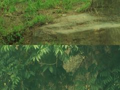 -杭州野生动物世界