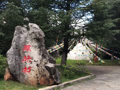 -云南民族村
