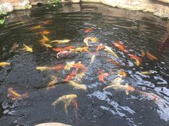 -龙达温泉生态城