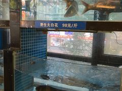 -北大荒淡水鱼馆(秀水广场店)