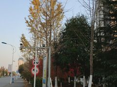 -江南大学(蠡湖校区)
