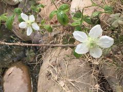 -南通洲际绿博园