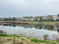 -两河城市森林公园