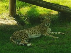 -北京野生动物园