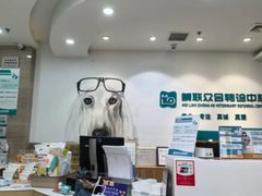 -美联众合动物医院·24h转诊中心