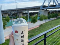 -成川茶店·潮汕工夫浓茶(万象店)