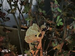 -咖法森林·咖啡  酒吧(天河店)