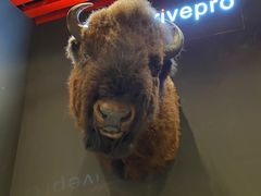 -drivepro(三里屯店)