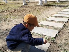-滨河世纪广场公园