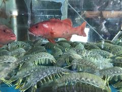 -马王堆海鲜水产市场