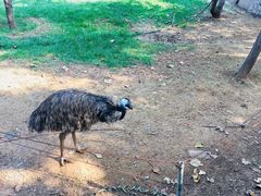 -石家庄市动物园