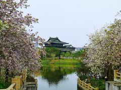 -海珠湖公园