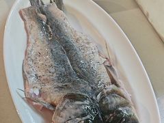 -蜀滋香鲜鱼美蛙火锅(339店)