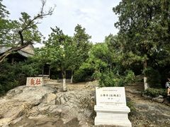 -云龙山
