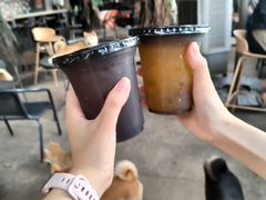 -柴犬高等学院·狗咖·柴犬售卖·宠物训练