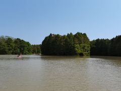 -上海海湾国家森林公园