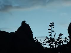 -波浪谷