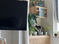 -花鸟鱼虫鲜花绿植市场(玉泉路店)