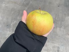 -西郊国际农产品交易中心