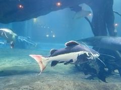 -华夏文旅西安度假区