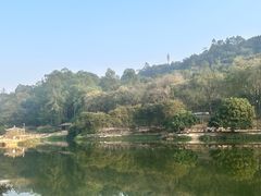 -南国桃园旅游度假区