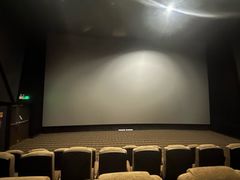 -金逸影城(影视中心IMAX店)