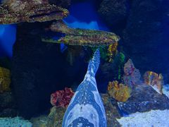 -石林冰雪海洋世界