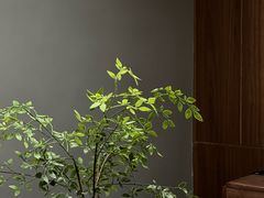 -Again Coffee Roaster(香蜜湖店)