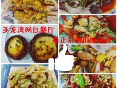 -亚龙湾热带天堂森林公园
