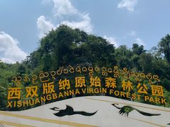-西双版纳原始森林公园