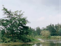 -金谷域澳洲庄园