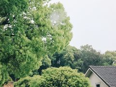 -杭州西湖风景名胜区-满觉陇四眼井