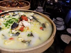 -印象鲵宴·张家界地标美食名片(溪布街店)