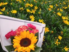 -苏州河梦清园环保主题公园