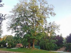 -元大都城垣遗址公园