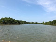 -东寨港红树林旅游区